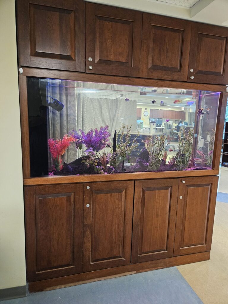 A large fish tank with purple plants is built into a wooden cabinet in a room with office equipment visible in the background.