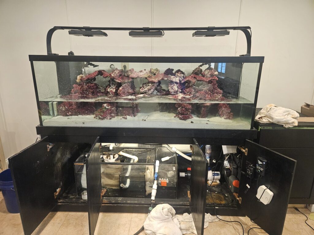 A large aquarium with rocks and sand, partially filled with water, sits atop a cabinet with visible filtration equipment.