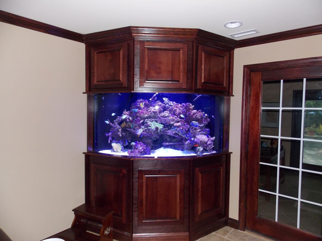 Large saltwater aquarium with coral and fish is built into a wooden corner cabinet in a room with glass doors.