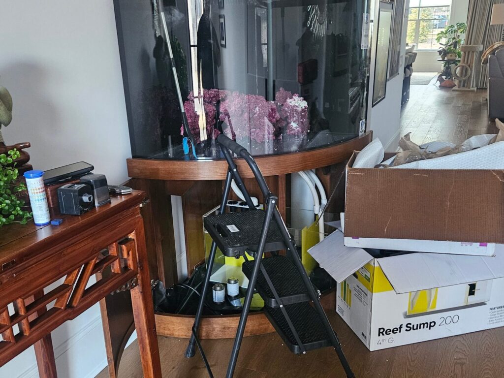 A fish tank being moved with cleaning supplies nearby, a step stool, and a large cardboard box labeled "Reef Sump 200" in front.