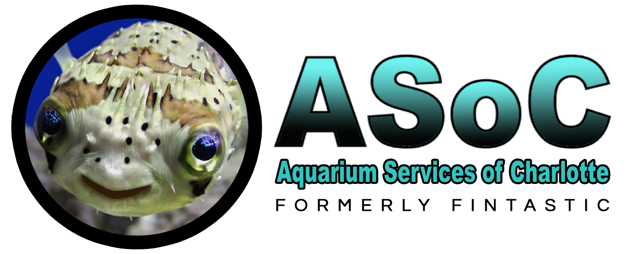 Aquarium Services of Charlotte LLC Logo