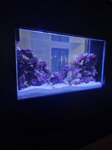 An aquarium with purple coral structures and white sand, illuminated by blue light, set against a dark wall.