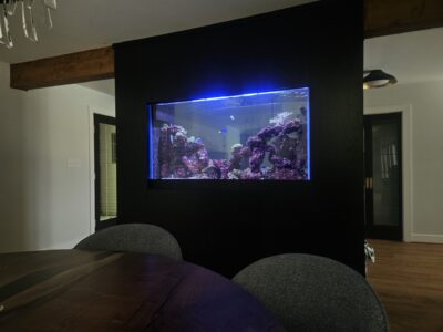 A large aquarium built into a black wall divider, viewed from a dining area with a round wooden table and chairs.
