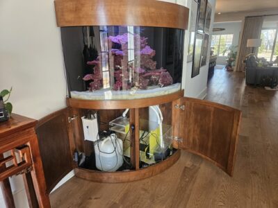 A large fish tank with purple coral sits atop a wooden cabinet with open doors, revealing aquarium equipment inside.
