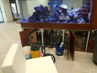 Large aquarium with open cabinet below, cleaning equipment, and maintenance supplies on the floor in front.