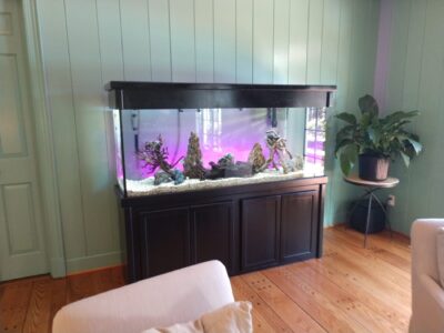 Aquarium Care in Charlotte NC