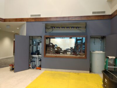 A large aquarium is installed in a blue-gray wall with equipment and a ladder visible nearby.