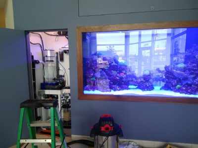 Built-in aquarium with coral and rocks, open equipment cabinet on left, green ladder and vacuum in front.