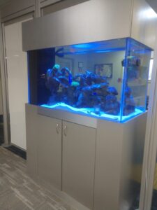 Large aquarium with rocks and fish inside, set in a metal cabinet in an indoor office or hallway environment.