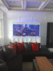 Large built-in aquarium with coral and rocks is displayed in a white-paneled room behind a sofa with orange pillows.