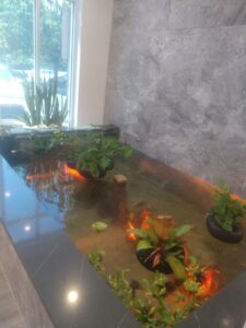 Indoor fish pond with aquatic plants and orange fish beside a large window and gray marble wall.