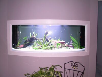A rectangular wall-mounted aquarium with plants, rocks, and fish, above a chair and a potted plant.