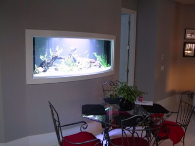 A built-in aquarium in a gray wall near a glass dining table with black and red chairs and a potted plant centerpiece.