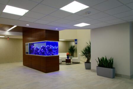Modern lobby area with a large aquarium, white seating, green plants, and neutral-colored walls and flooring.