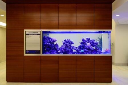 Large built-in aquarium with purple rocks set in a wood-paneled wall, next to a directory sign in a lobby area.