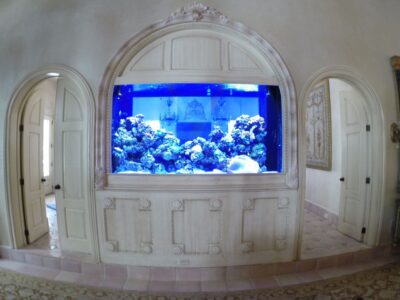 Large built-in aquarium with coral and fish, set in a decorative alcove between two arched doorways in an elegant room.