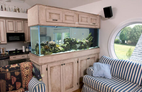 Large built-in aquarium with coral and rocks is situated between a kitchen and a living room with striped furniture.
