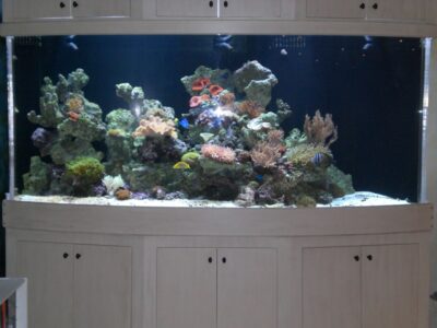 Large aquarium with various coral formations, colorful fish, and white cabinetry below, set against a dark background.