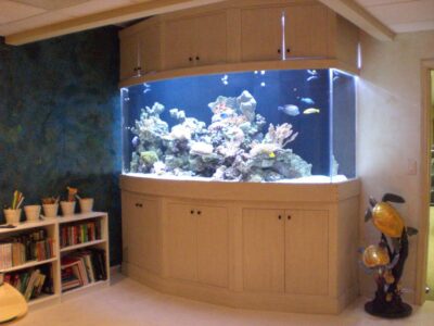 Large built-in aquarium with colorful fish and coral, set in a wooden cabinet next to a shelf with books and potted plants.