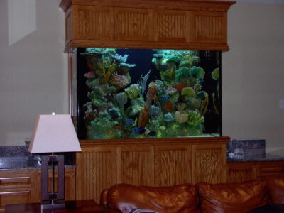 Large built-in aquarium with colorful coral and fish, set in a wooden cabinet against a wall in a living room.