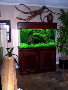 A large, well-lit aquarium with lush green plants sits on a dark wood cabinet in a room with tiled flooring.