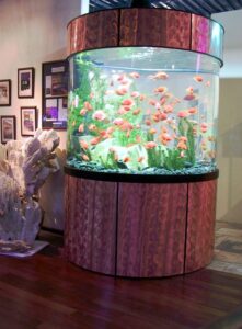 Large cylindrical aquarium with orange fish, green plants, and rocks, set against a wall with framed pictures and coral decor.